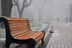 погода